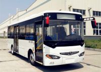 8 meter lithium iron phosphate middle pure electricity passenger city bus