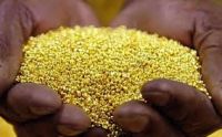 gold nuggets , gold dust  , gold  bars   etc.