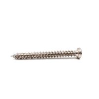 Self Tapping Screws