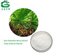 Saw Palmetto Extract 25% Serenoa Repens herbal extract Saw Palmetto Extract with Fatty acid 25%-45%