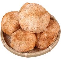 High Grade Dried 100% Natural lion's mane mushroom 