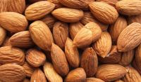 Almond Nuts Best Quality Grade AA