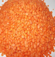 Lentils red lentils, green lentils, yellow lentils