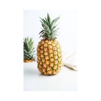 Delicious and Fresh Pineapple from a Premium Exporter 