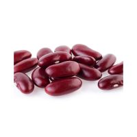 Wholesale Supplier Best Quality Red kidney Beans For Sale 