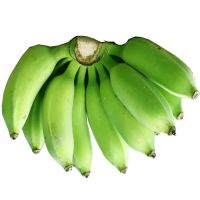 fresh green cavendish banana high quality 