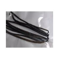 Urgent Hot Sale Top Quality Vanilla Beans 