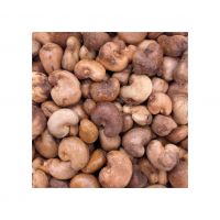 Raw cashew nuts available in bulk at competitive wholesale price for export