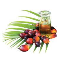 Top Grade PALM OIL / PALM OIL 