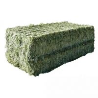 Quality alfalfa hay bays / Alfalfa pellets / Dehydrated Alfalfa 