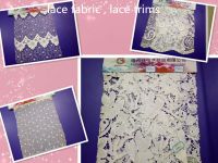 Lace Fabric 