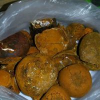 Ox gallstones