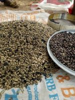 Mucuna Pruriens Seeds/Powder (Velvet Beans) 