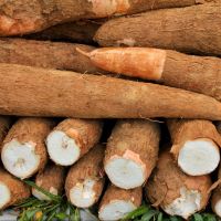 Cassava Starch