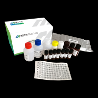 Chloramphenicol ELISA Kit