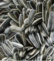 sunflower seeds