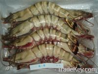 Black Tiger Prawns