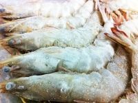 Frozen Prawn