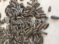 black and white stripe sunflower seeds