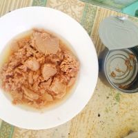 Canned Tuna In Vegetable Oil, Brine Chunk, Shredded Tuna