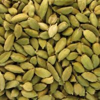 Factory price supply of green cardamom 100% natural importers of spices cost effective dry green cardamom