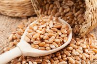 Wheat Grains For Sale - Buy Wheat Grain,Whole Grain 