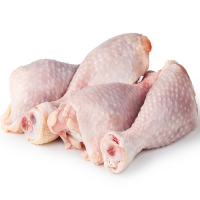 Frozen Chicken Meat