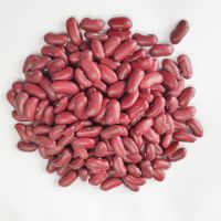 Red kidney beans are a wholesale provider of high-quality red kidney beans