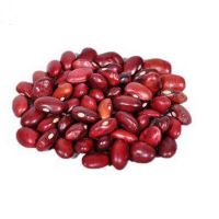 Buy Wholesale High Quality Red Small Beans Red Kidney Beans