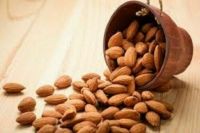 Cheap Price Premium Almond Nuts Almond 