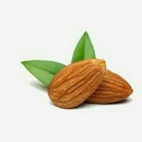 Almond Nuts Bulk Supply 
