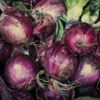 Ruby Red Onion Seeds, NON-GMO, Long Day, Variety Sizes, FREE SHIPPING