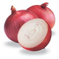 Onion Purple Red Amposta 500 seeds