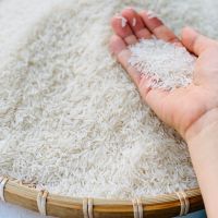 Long Grain Basmati Rice Available