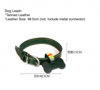 Leather Dog Leash