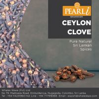 Ceylon Clove