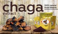 Extract Chaga