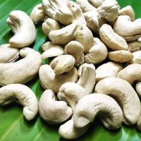 Cashew nut without shell