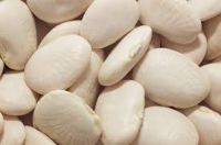  Lima beans butter beans