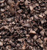 Palm Kernel Shells