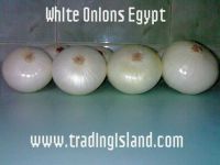 Quality WHITE ONIONS WWW.TRADINGISLAND.COM