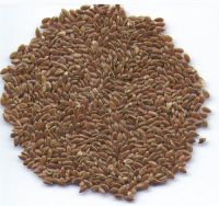Quality Flaxseeds Extract