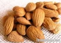 Quality Almond Nuts and others