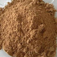 Freeze Dried Papaya Powder