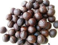 Walnut fruits