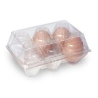 Factory Sale Disposable Plastic Egg Tray Blister Clear Egg Packing Box