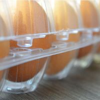 Factory Sale Disposable Plastic Egg Tray Blister Clear Egg Packing Box