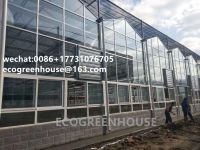 9.6meter 10.8meter 12meter span agriculture greenhouse/Green house