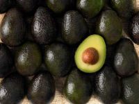 Avocado hass, avocado oil