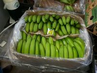 Bananas from Ecuador